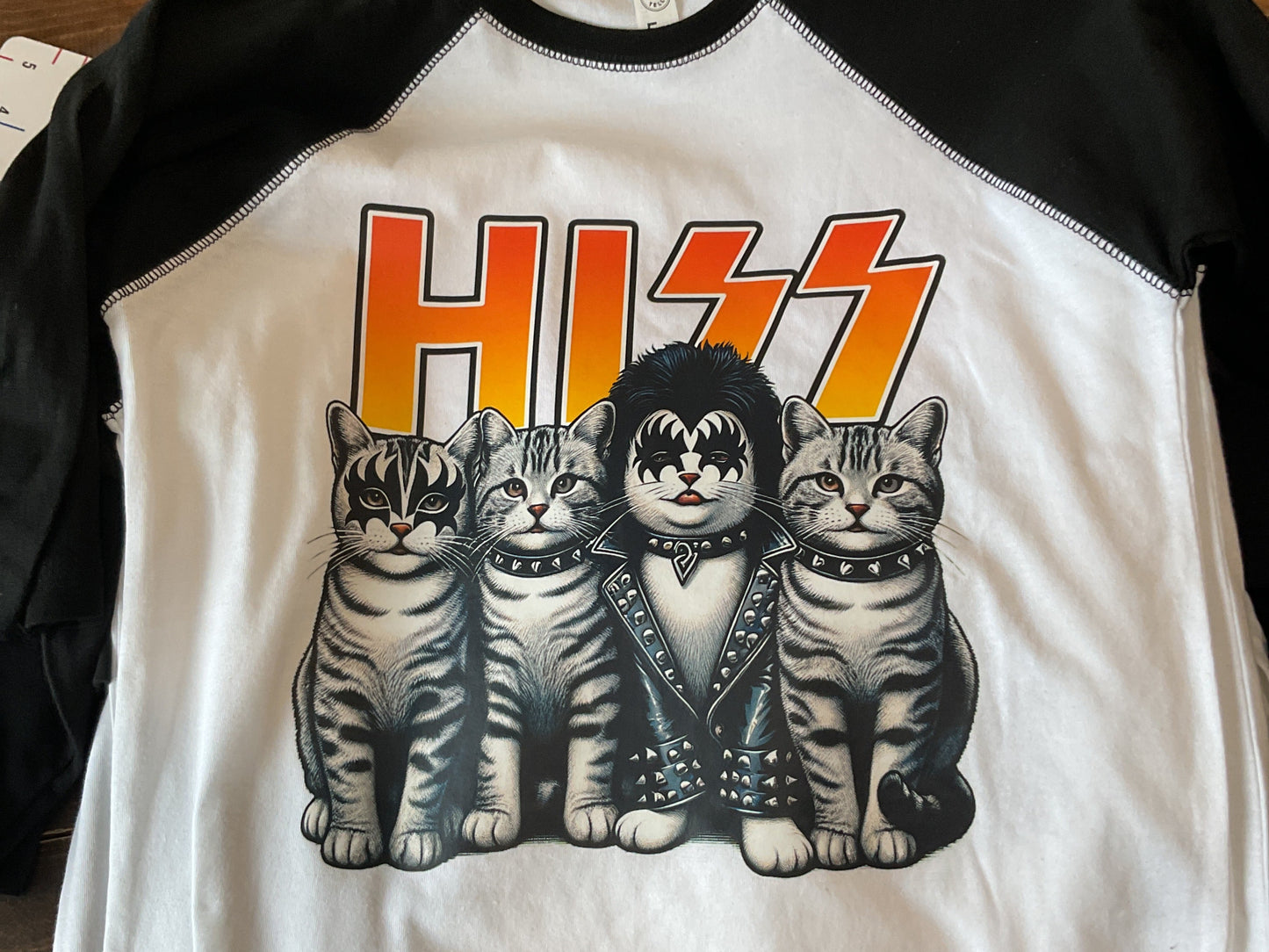 HISS Youth Raglan